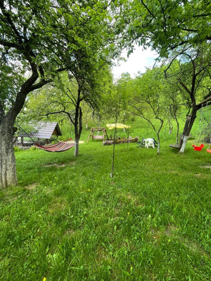 Casa Titiana Holiday home Suncuius