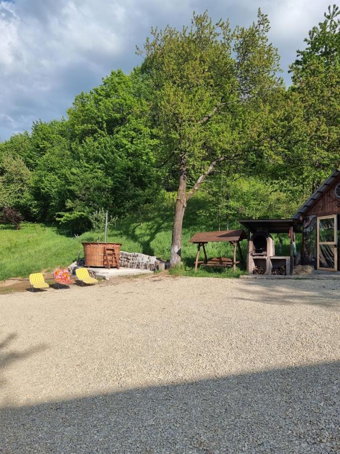 Casa Titiana Holiday home Suncuius